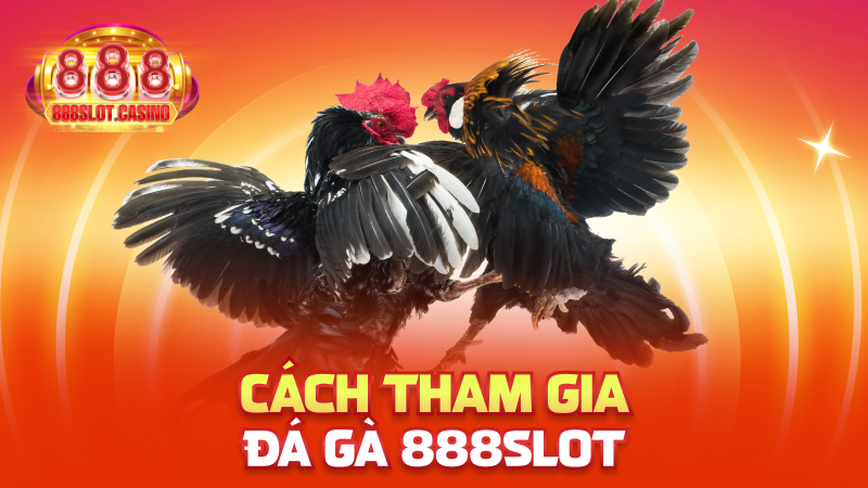 Cách tham gia Đá Gà 888slot