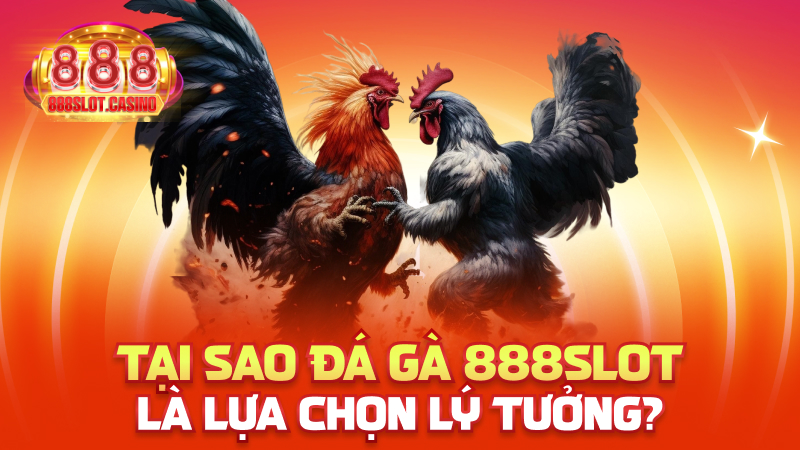 Tại sao Đá Gà 888slot là lựa chọn lý tưởng?
